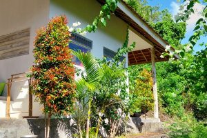 namastebungalows:room-jungle-quiet